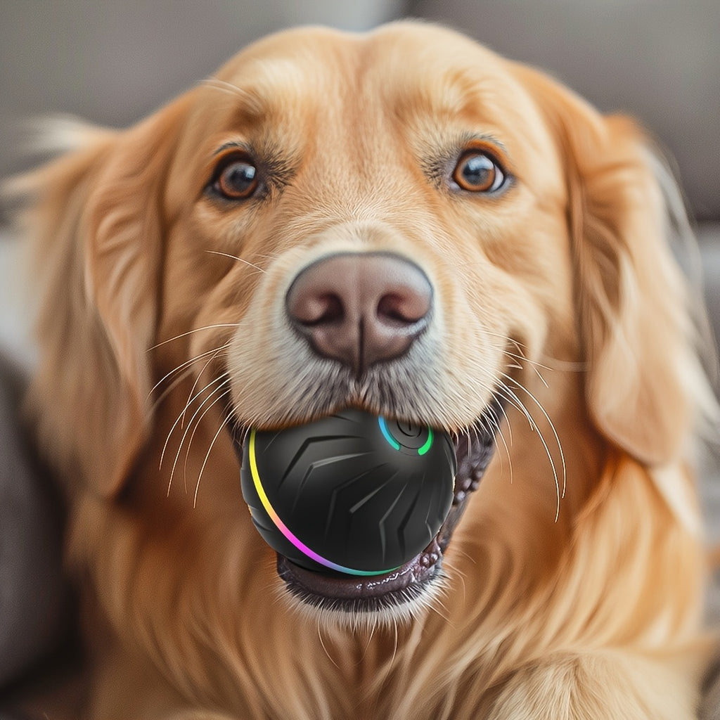 [Interactive Dog Ball] 6.6cm/2.62in Large Size Pet Smart Bouncing Ball, Interactive Dog Toy, Motion-Activated Automatic Rolling Ball for Puppies/Small Dogs/Medium Dogs/Large Dogs, Interactive Dog Ball, Playful Design, Durable