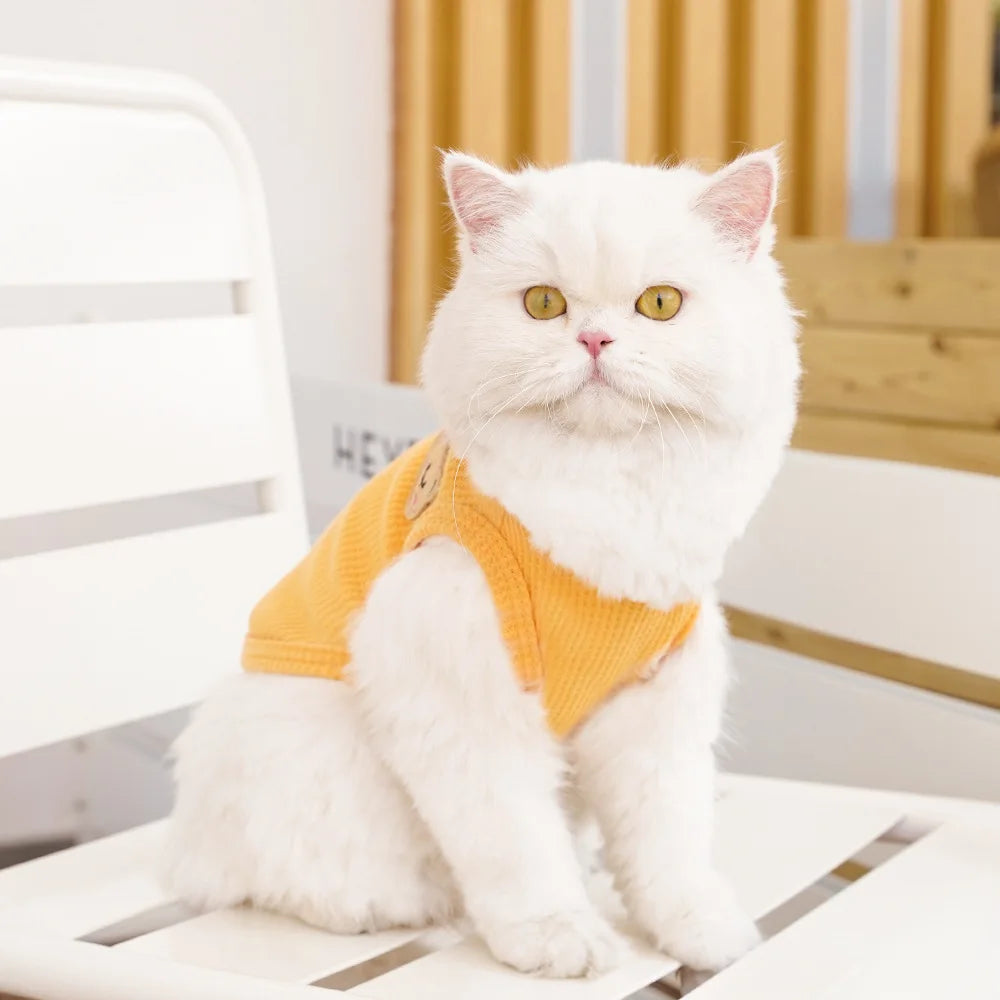 Cat Clothes Waffle Bear Pet Vest Summer Teddy Chihuahua Small Dog Two legged Clothes Cat Puppy Clothes Pet Costume