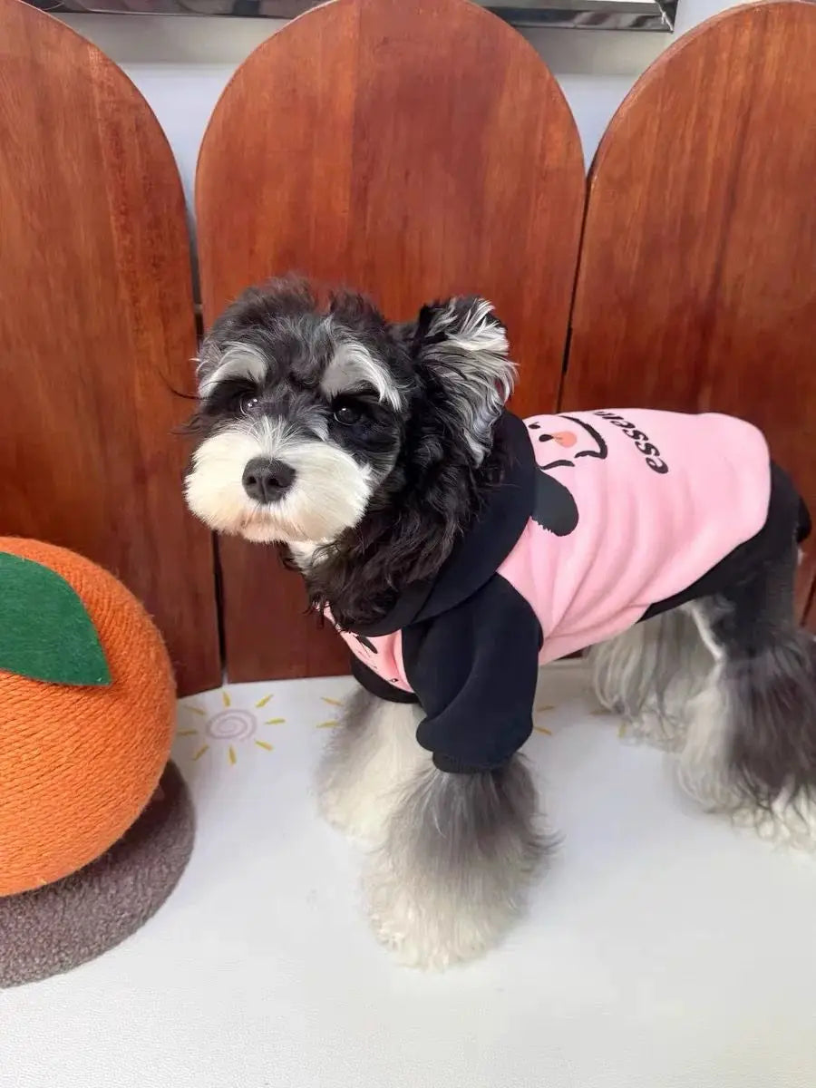 Pet cat and dog clothes trendy brand cool handsome autumn and winter velvet warm powder fight black puppy pair hooded