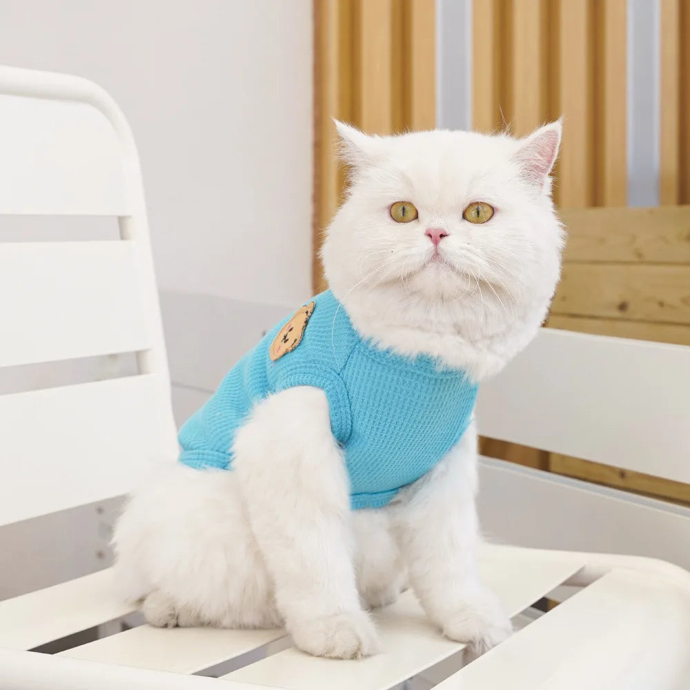 Cat Clothes Waffle Bear Pet Vest Summer Teddy Chihuahua Small Dog Two legged Clothes Cat Puppy Clothes Pet Costume