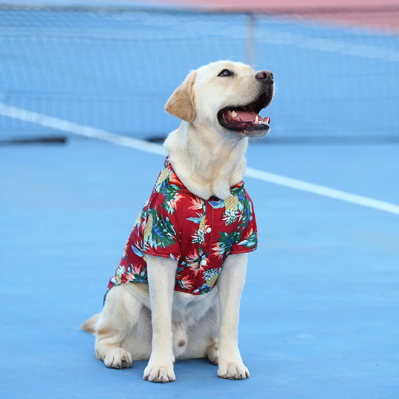 Pet Dog Clothes Puppy Vest T-shirt Shirt Cute Spring Pet Costume Roupas Para caes Bottoming Shirt Dog Costume Puppy Clothes