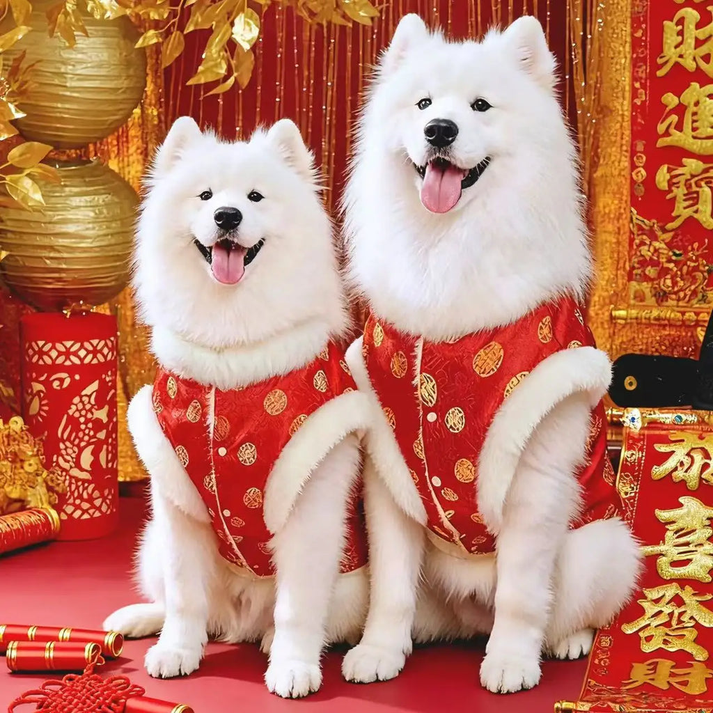 Chinese traditional pattern pet clothing, warm and comfortable dog clothes, suitable for medium to large dogs such as Golden Ret
