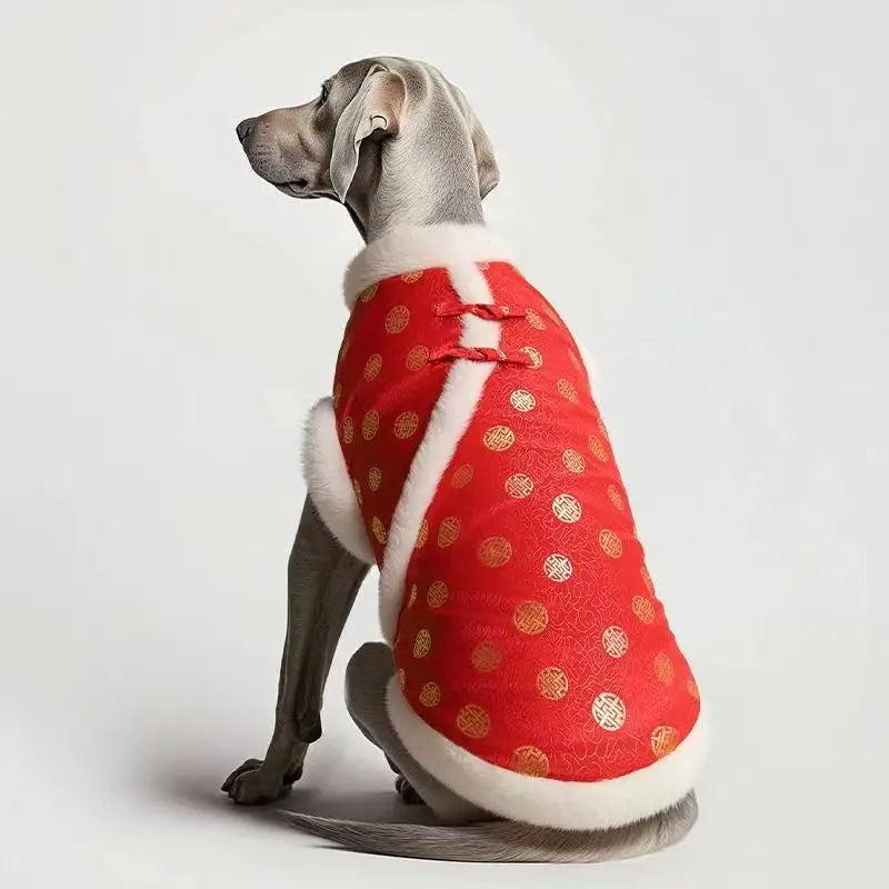 Chinese traditional pattern pet clothing, warm and comfortable dog clothes, suitable for medium to large dogs such as Golden Ret