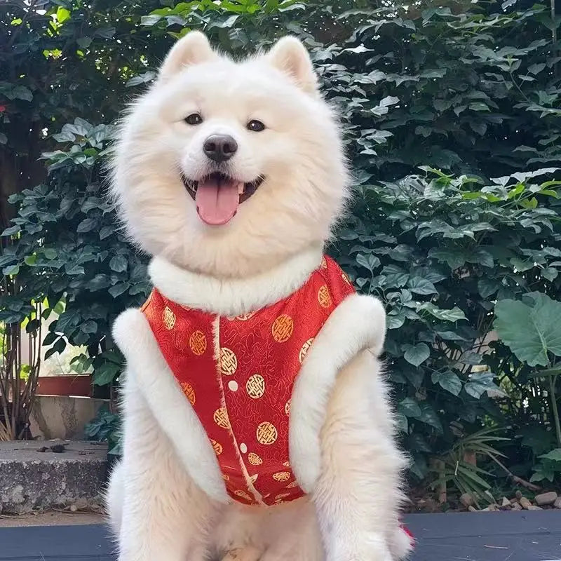 Chinese traditional pattern pet clothing, warm and comfortable dog clothes, suitable for medium to large dogs such as Golden Ret