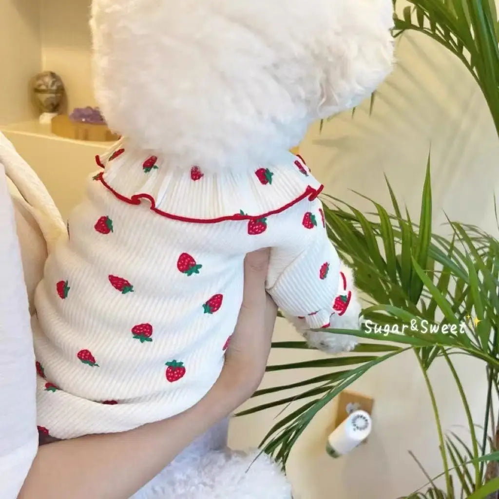 Pet Clothes,Dog T-Shirt Puppy Clothes Dog Skirt Dress Cats Clothes for Small Dogs Cats Puppy