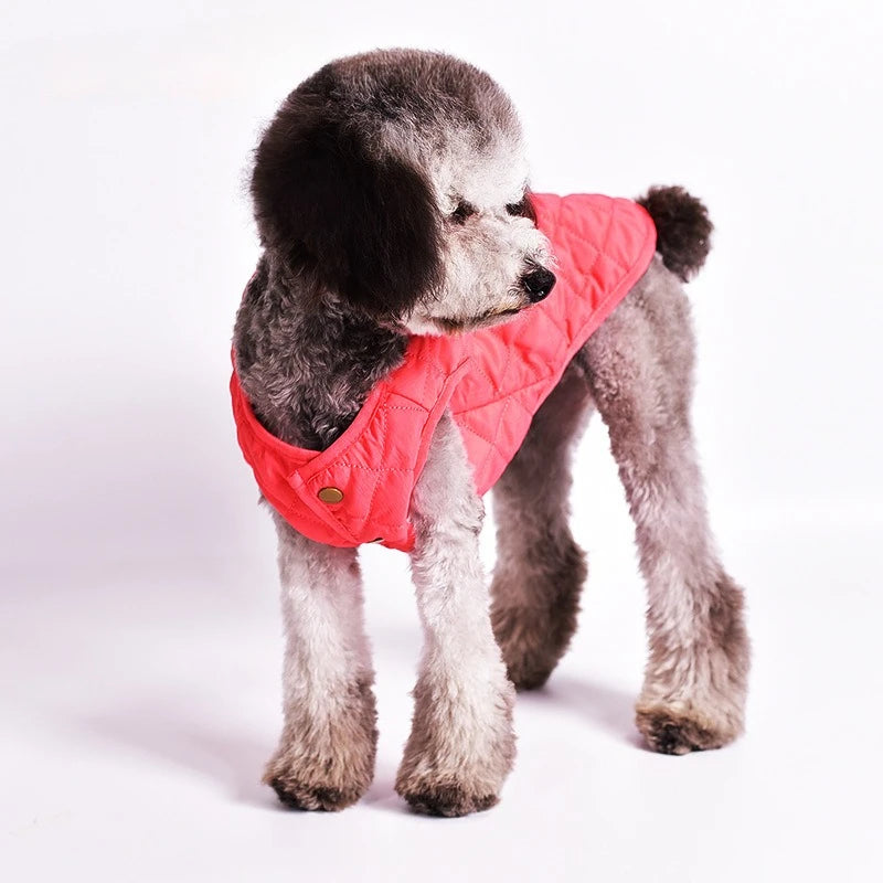 Pet Clothes, Dog Vest, Simple Clothes with Buttons, Pet Supplies