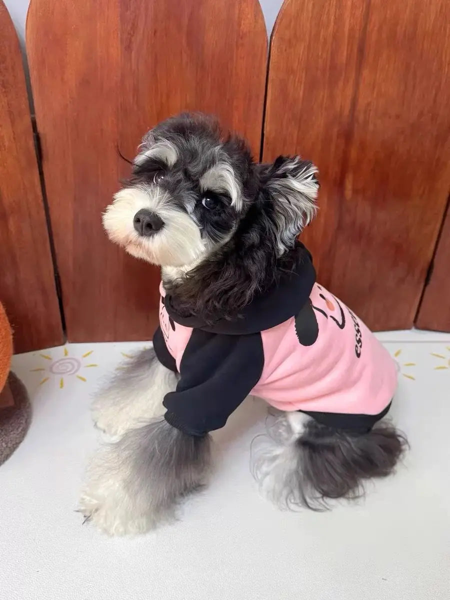 Pet cat and dog clothes trendy brand cool handsome autumn and winter velvet warm powder fight black puppy pair hooded