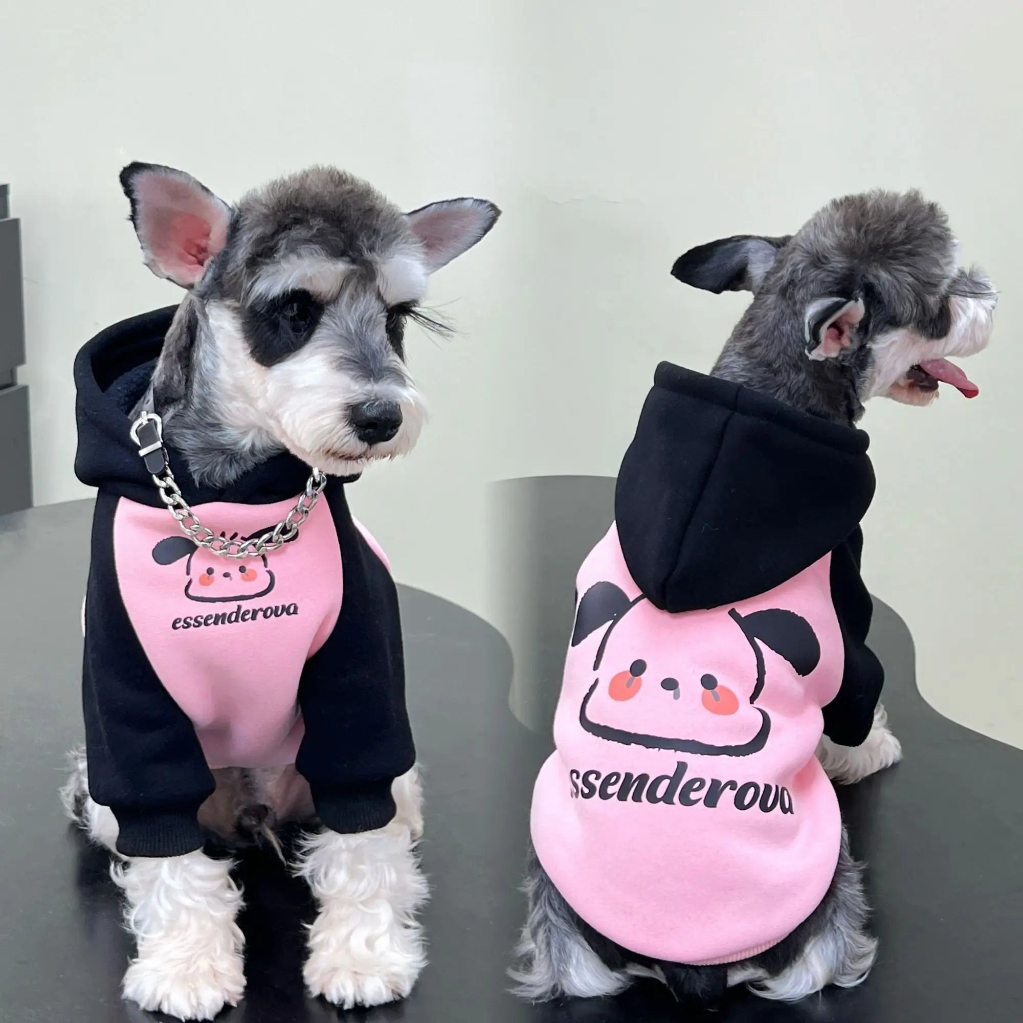Pet cat and dog clothes trendy brand cool handsome autumn and winter velvet warm powder fight black puppy pair hooded