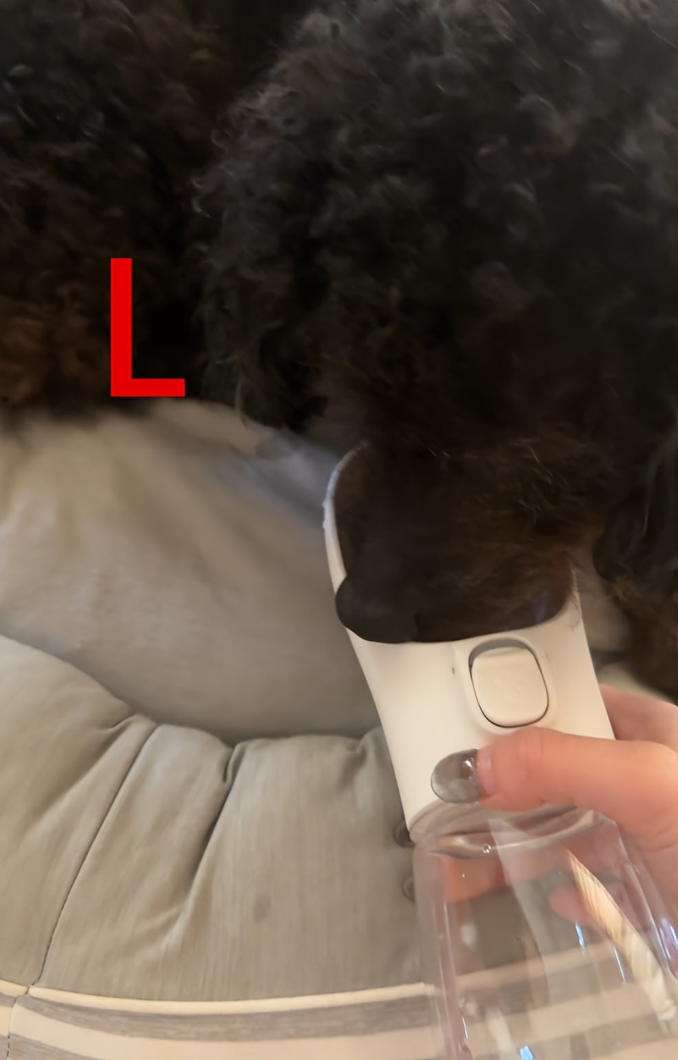 Portable Dog Water Bottle, Travel Cup for Dog Walking, Pet Water Dispenser and Feeder Accessories